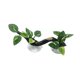 thumbnail image 5 of Decoración De Ramas Para Esquinas De Reptiles Decoración De Ramas De árboles Trepadores Para Terrarios De Cangrejos Y Serpientes Con Hojas Manchadas, 5 of 5