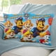 thumbnail image 3 of Patrulla Canina Fundas de almohada de terciopelo con tema, regalos de funda de almohada, decoración para el hogar, cojín de lanzar, regalo de cumpleaños para fans y parejas. 60cm x 60cm., 3 of 6