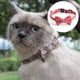 thumbnail image 3 of Pajarita para perro, collar para perro y gato, collar para perro con hebilla a cuadros, suave y cómodo para perros y gatos, 3 of 5