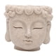 thumbnail image 3 of Maceta Con Cabeza De Buda, Regalo Budista, Maceta Para Cocina, Jardín Y Hogar, 3 of 5