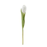 Green Element - Tulipan Blanco 35 Cms