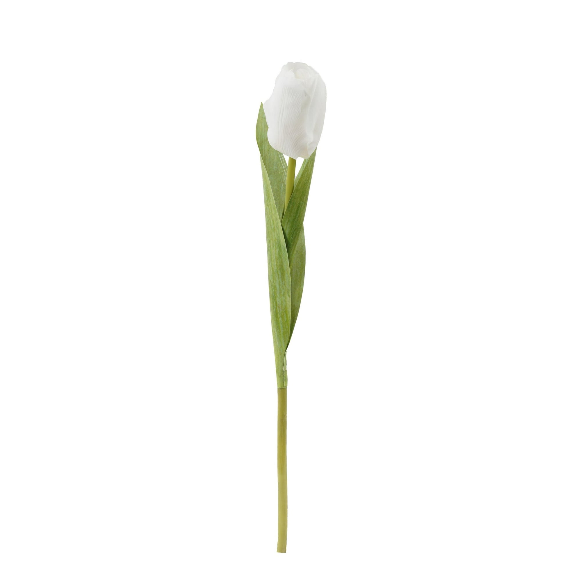 Green Element - Tulipan Blanco 35 Cms