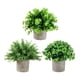 thumbnail image 3 of 3 Piezas Pequeñas Plantas Falsas Plantas Artificiales en Macetas Plantas Decorativas de Imitación en Maceta para Estante de Oficina Decoración de Baño Estilo H, 3 of 5