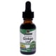 thumbnail image 1 of Suplemento Nature's Answer Hoja De Ginkgo Af 2000 Mg Unisex, 1 of 3