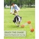 thumbnail image 5 of Pelota para Perros y Gatos Inteligente Recargable - Naranjo, 5 of 6