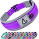 thumbnail image 1 of Collar para perro Joytale acolchado de neopreno ajustable reflectante morado, 1 of 5