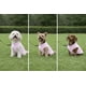 thumbnail image 5 of Chaleco polar JACKO & CO para perros, suave y cálido, para pequeños y medianos, 5 of 8