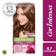 thumbnail image 1 of Coloración Cor Intensa Garnier Cabello 6.7 Chocolate, 1 of 1