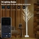 thumbnail image 3 of Árbol de abedul inteligente Aoycocr de 6 pies con 120 luces LED, 18 modos, 3 of 3