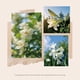 thumbnail image 2 of Set de difusores Reed Saussavita con aroma a jazmín blanco, 120 ml, 2 of 7