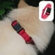 thumbnail image 3 of Correa de repuesto resistente para receptor de cerca para perros TUFF Collar, 3 of 5
