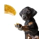 thumbnail image 1 of Protectores de uñas para perro Pretty Claws, 60 piezas, adhesivos, dorado 24 quilates, talla grande, 1 of 4