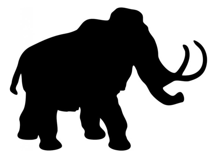 Rienda Libre Graphics - Decomural Woolly Mammoth Ws-15259