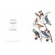 thumbnail image 4 of Aves en el arte, 4 of 4