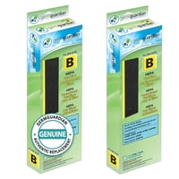 Filtro Purificador De Aire Germguardian B Hepa Pure Para Ac4825