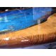 thumbnail image 4 of Kit de Pigmentos para Resina Epoxi TRUE COMPOSITES 6 Colores 7 g, 4 of 9
