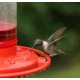 thumbnail image 2 of Alimentador de colibríes Rocky Mountain Goods 473 ml Rojo, 2 of 9