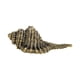 thumbnail image 5 of Mini Estatuilla De Artesanía De Cobre De Regalo Coleccionable De Concha De Latón Para Decoración De Escritorio, 5 of 5
