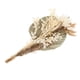 thumbnail image 3 of Hojas s Pampas Grass 40cm Bundle Branches Palm Reed Bouquet Mixto para fiesta Boda Fotografía Arreglos florales Decoración Conjunto A, 3 of 5