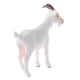 thumbnail image 3 of Simulación Animal Modelo Figura Juguetes Estatuilla Decoración Para El Hogar Cabra Blanco, 3 of 5