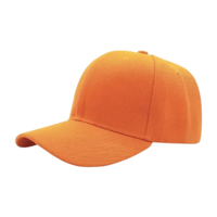 Genérico - Gorro Jockey Estampar O Bordado Calidad 100%