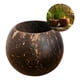 thumbnail image 1 of Pack 5 cuencos coco velas aromáticas decorativas beige, 1 of 3