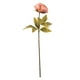thumbnail image 1 of Peonia Pastel Dk Pink 55 cm, 1 of 1