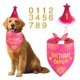 thumbnail image 1 of Bandana para perro Agroon 38 cm/46 cm/61 cm Rosa Pastel Cumpleaños, 1 of 8
