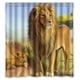 thumbnail image 1 of Cortina de ducha de leones de Madagascar, juego de cortina de baño con ganchos, tamaño 66 x 72 pulgadas, 1 of 3