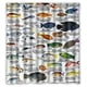 thumbnail image 1 of Cortina de ducha con diseño de peces marinos y ganchos, tamaño 66 x 72 pulgadas, 1 of 3