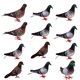 thumbnail image 1 of 12 x falsas plumas artificiales de espuma palomas aves boda decoración adorno lugar, 1 of 5