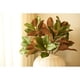 thumbnail image 2 of Ramas Artificiales Magnolia 28 Cm Hojas Realistas, 2 of 3