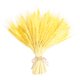 thumbnail image 2 of 100 Piezas De Flor De Oreja De Trigo Real Flores Secas Decoración De Fiesta De Boda Amarillo, 2 of 5