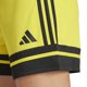 thumbnail image 5 of Pantalones cortos adidas Squadra 25 Soccer para equipo femenino amarillo/negro, 5 of 6