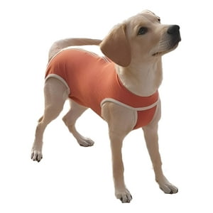 Kimba - Body De Cobre Quirúrgico Castración Perro Macho Talla 12 35 A 40Kg Máximo