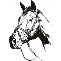 Rienda Libre Graphics - Decomural Horse Portrait Farm Animals Ws-18604