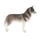 thumbnail image 1 of Simulación Animal Salvaje Modelo Figura Juguetes Estatuilla Decoración Para El Hogar Husky Grey, 1 of 5