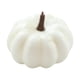 thumbnail image 5 of Calabaza Artificial De Halloween, Calabazas De Espuma, Decoración, Centro De Mesa, 6,5x9cm, Blanco, 5 of 5
