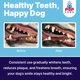 thumbnail image 4 of Agente de Limpieza Dental Pup Labs ProDenta Polvo Natural Paquete de 6, 4 of 7