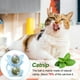 thumbnail image 5 of 2 bolas de mordedura para gatos, doble bola, juguete masticable para gatos, 5 of 5