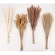 thumbnail image 1 of Pampas 100 Tallos 43 Cm Mix Natural, 1 of 3