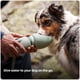 thumbnail image 2 of Botella de Agua Portátil para Perros SÄKER 550ml con Plato Plegable, 2 of 6
