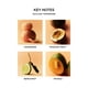 thumbnail image 4 of Reed Diffuser Sicilian Tangerine 175 Ml Con Varillas, 4 of 6