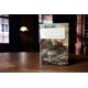 thumbnail image 2 of Libro Emmaus Road Publishing – Oración Personal, 2 of 4