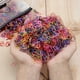 thumbnail image 2 of 1500pcs/pack Colorful Rubber Hair Ties for Girls - Fashionable and Durable Elastic Hair Bands for Ponytails and Braids, 2 of 5