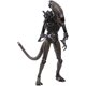thumbnail image 1 of Figura de acción Hiya Toys Aliens Brown Alien Warrior a escala 1:18, 1 of 1