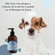 thumbnail image 2 of Shampoo De Avena Perros Y Gatos Hipoalergenico, 2 of 3