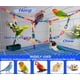thumbnail image 2 of C-Clips Hyamass 200 uds 38×16 mm Esclabones de plástico arcoíris, 2 of 8