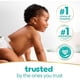 thumbnail image 3 of Toallitas Húmedas Pampers Sensitive 336 Unidades Hipoalergénicas, 3 of 3