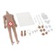 thumbnail image 5 of 1/6 Esqueleto De Cuerpo Sin Costuras Masculino Súper Flexible Piel De Trigo Desnuda Muscular, 5 of 7